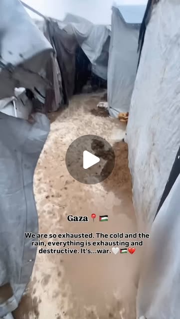 Noa126's tweet card. ‎حسين أبو المعزة (@hussein_w_wajih)‎ • Instagram reel