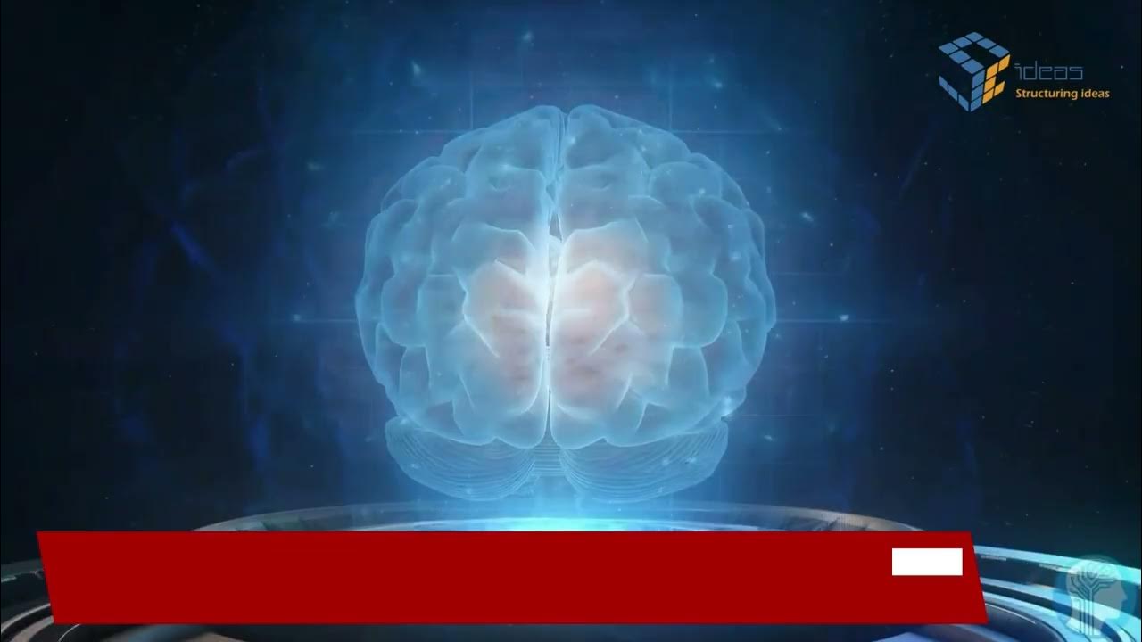 Scideassolution's tweet card. Streamline Operations with IT Outsourcing | Scideas Solutions