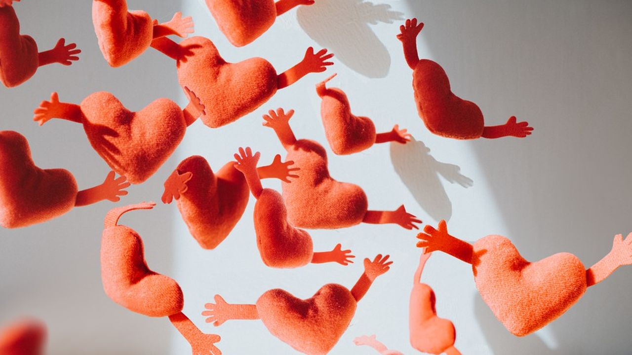 domiCodeur's tweet card. EXCLUSIF// Les start-up du French Tech 120 sont particulièrement ouvertes à embaucher des profils en reconversion. Quelles sont celles qui en recrutent le plus, sur quels métiers et dans quelles...