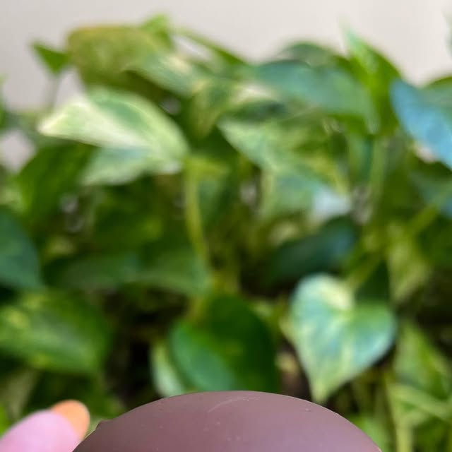 FuxicodeMulher1's tweet card. Delícias da Célia (@deliciasdacelia_rj) • Instagram photos and videos