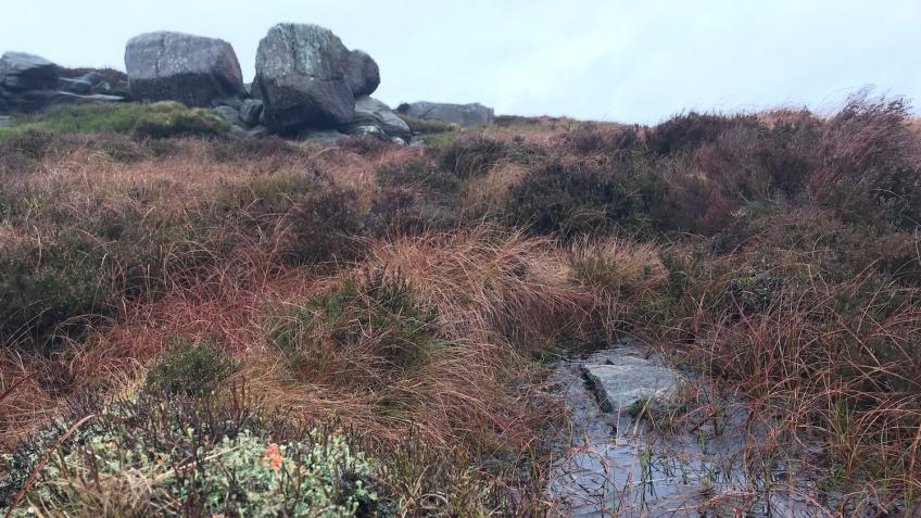 SoniaOverall's tweet card. Exploring the rich significance of peat landscapes and challenges facing us as we consider renewable energy, climate change and biodiversity