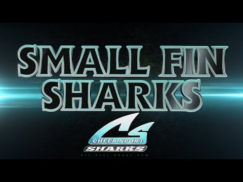 acetvcheer's tweet card. CHEER SPORT SHARKS 2016-2017 - SMALL FIN