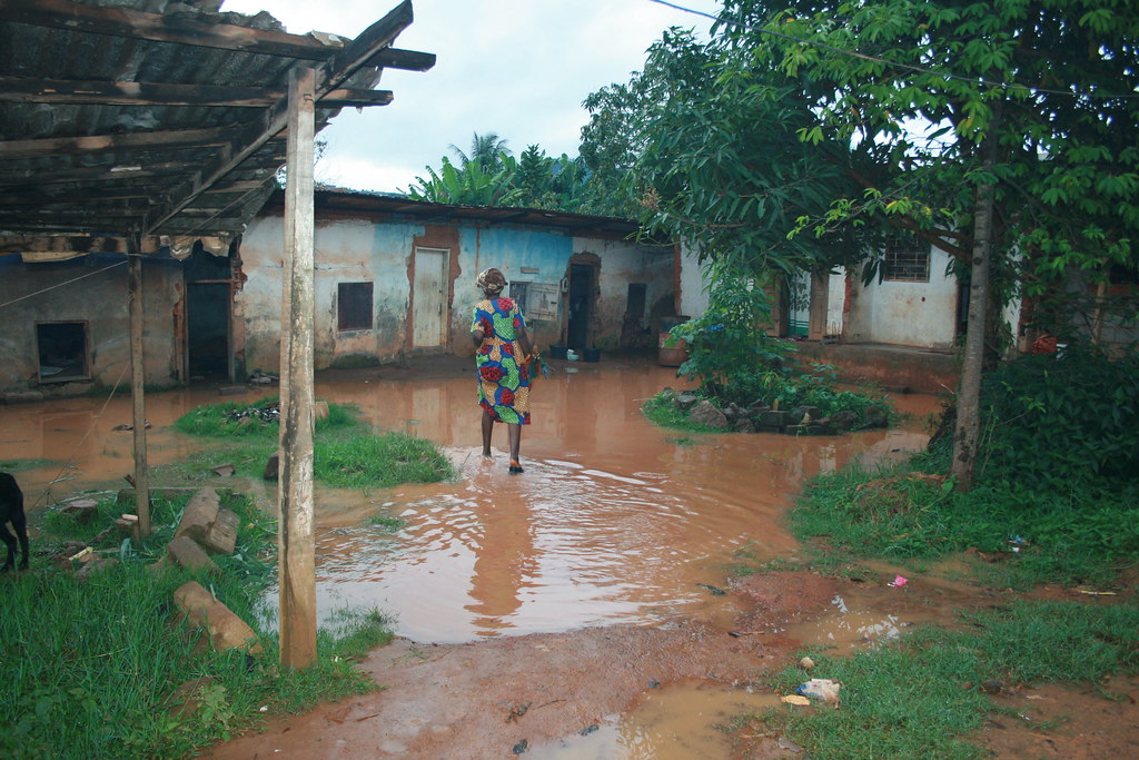 scidevafrique's tweet card. Basée sur l’intelligence artificielle, cette application donne aux autorités la possibilité de prendre des mesures avant la survenue des inondations afin d’en limiter les dégâts.