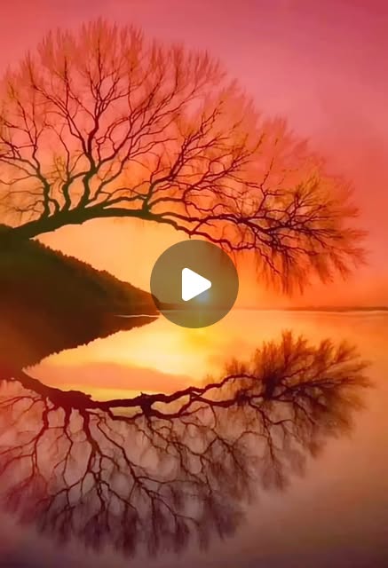 D34412's tweet card. Samora Kazado (@d34412) • Instagram reel