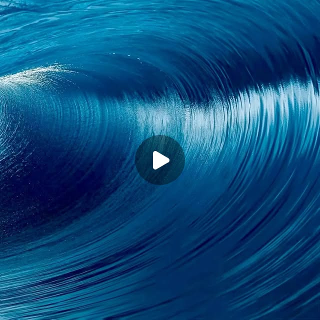 D34412's tweet card. Samora Kazado (@d34412) • Instagram reel