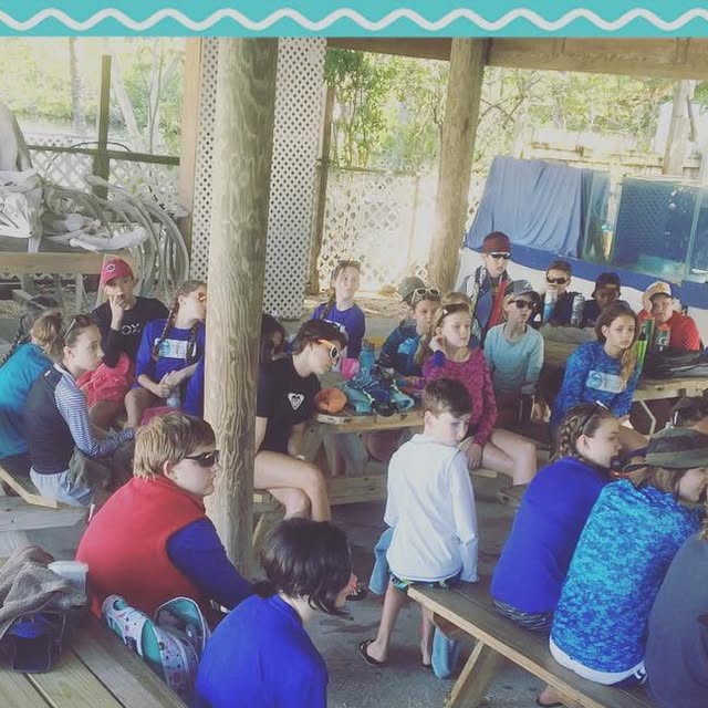 CSFmarine's tweet card. CSF Marine Studies (@canterburymarinestudies) • Instagram photo