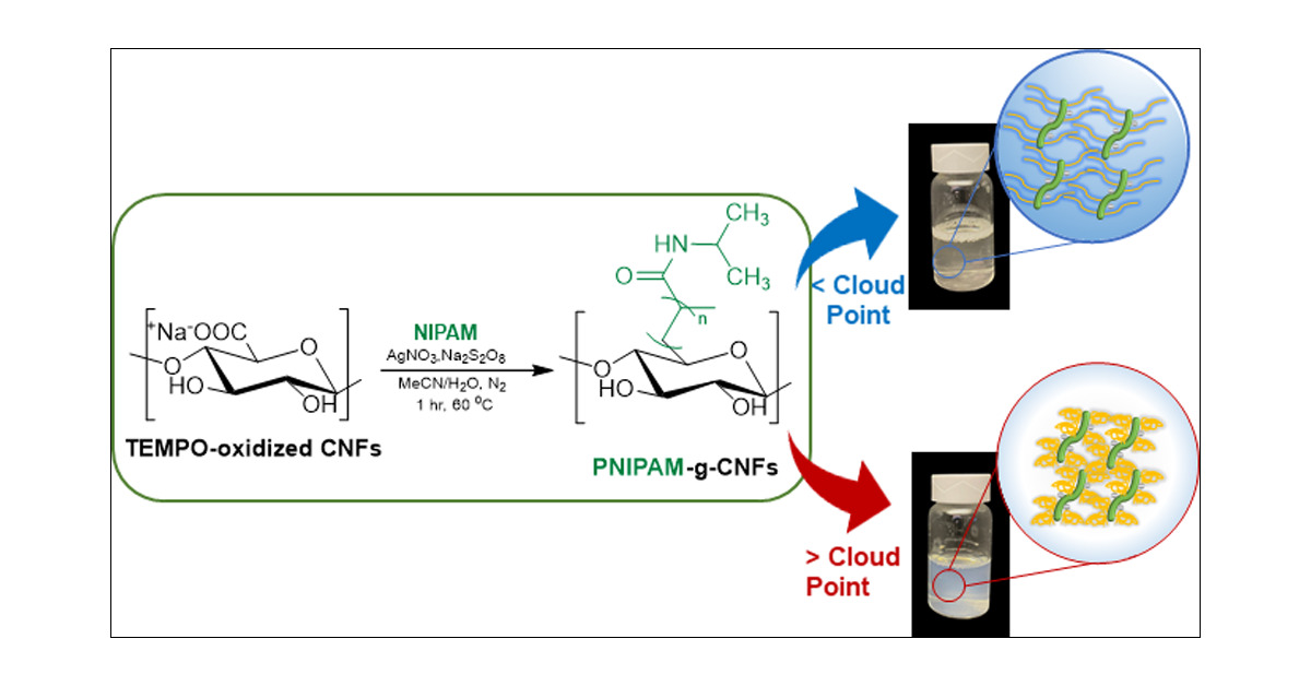 jf_hooper's tweet card. A family of thermoresponsive poly(N-isopropylacrylamide) [PNIPAM]-grafted cellulose nanofibers (CNFs) was synthesized via a novel silver-promoted decarboxylative polymerization approach. This method...