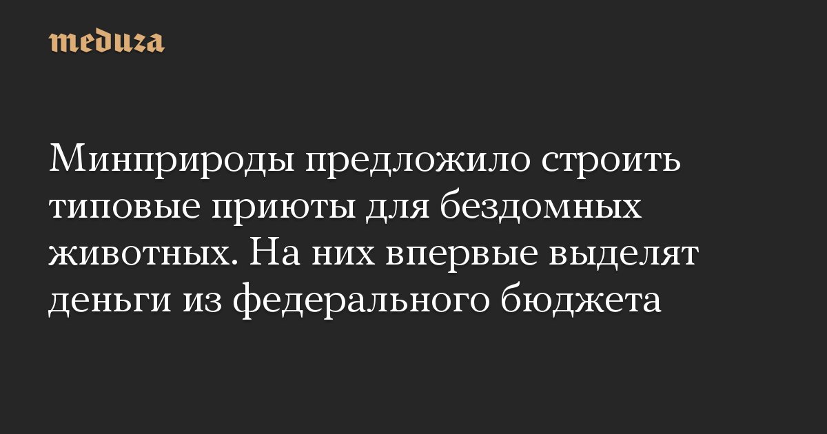 meduzaproject's tweet card. Минприроды разрабатывает проект создания в России сети приютов для бездомных животных, который предусматривает софинансирование их строительства из федерального бюджета. Об этом сообщает «Коммерсант»...