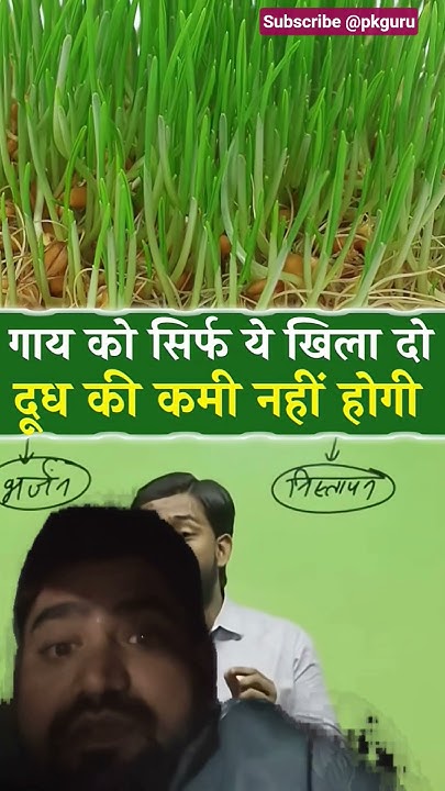 Jitendrakphc's tweet card. दूध की कमी नहीं होगी ये खिलाओ....#shorts #khansir #youtubeshorts...