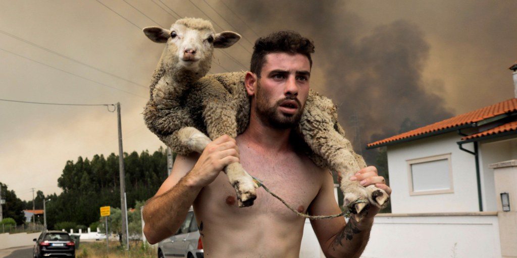 NBCNews's tweet card. Continuous dry weather has also contributed to the Italian island of Sardinia’s worst locust invasion in 3 decades.