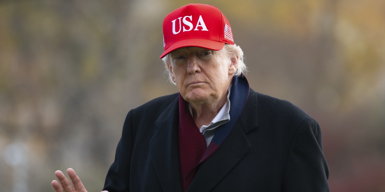 TheRickWilson's tweet card. Stocks and cryptocurrencies tied to the president and his family have tumbled amid a broader rout of riskier assets.