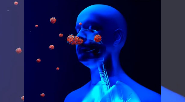 DCNhoy's tweet card. Numerosos médicos y científicos coinciden en que el nuevo coronavirus no solo puede dañar los pulmones, sino también extenderse a...