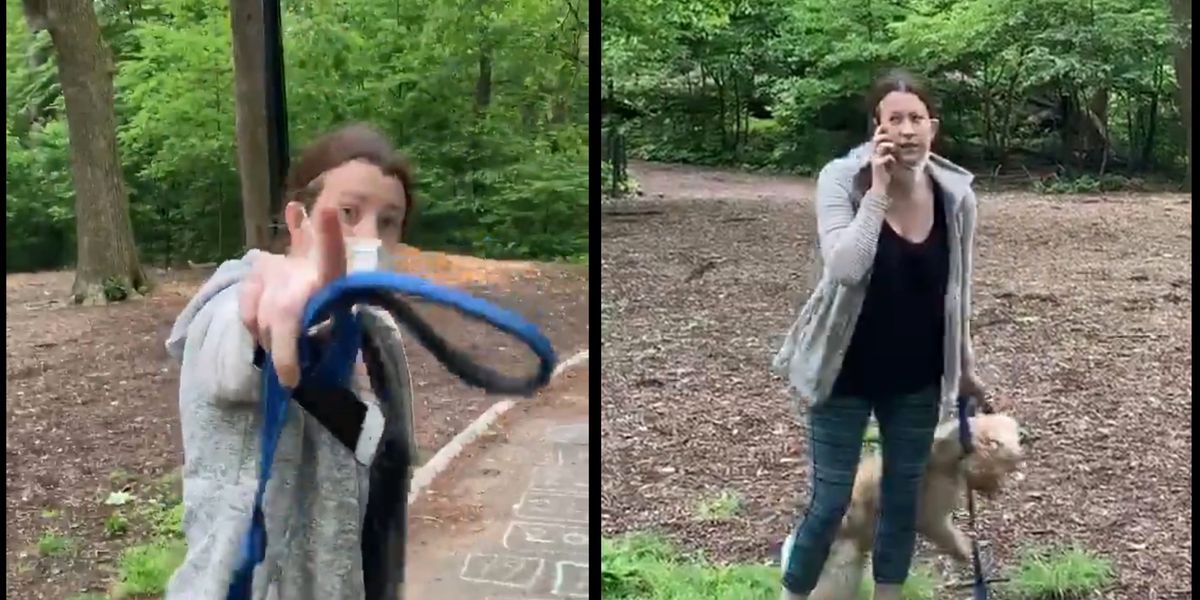 theblaze's tweet card. She had apologized but social media took over