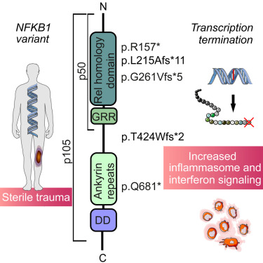 TRIMMprogram's tweet card. Patients presenting with hyperinflammatory reactions to minor trauma or infection may carry predisposing genetic variants. Nurmi and Silventoinen et al. identify a mechanism of autoinflammation in...