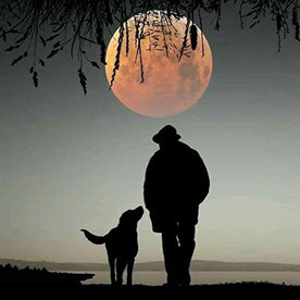 Nita34854862's tweet card. Tatiana Lisacheva - Graphic designer in Russian Federation