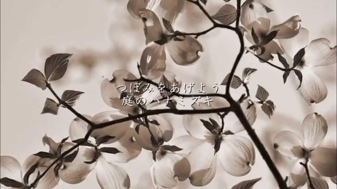 UT_MATLAB_Amb's tweet card. ハナミズキ - 一青窈（フル）