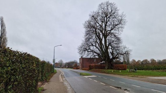 Image for twitter card