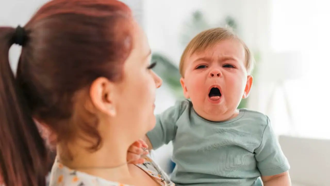 Chequeado's tweet card. Los casos de coqueluche (también conocida como tos convulsa o tos ferina) continúan en aumento en Argentina. En lo que va de 2025 se registraron 627 casos