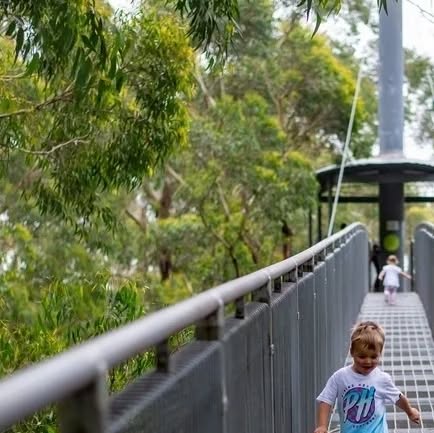 Shellharbour_i's tweet card. Shellharbour NSW Australia (@visitshellharbour) • Instagram photos and videos