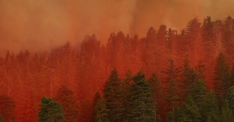 MichaelEMann's tweet card. The “end times” narrative only benefits fossil fuel interests.