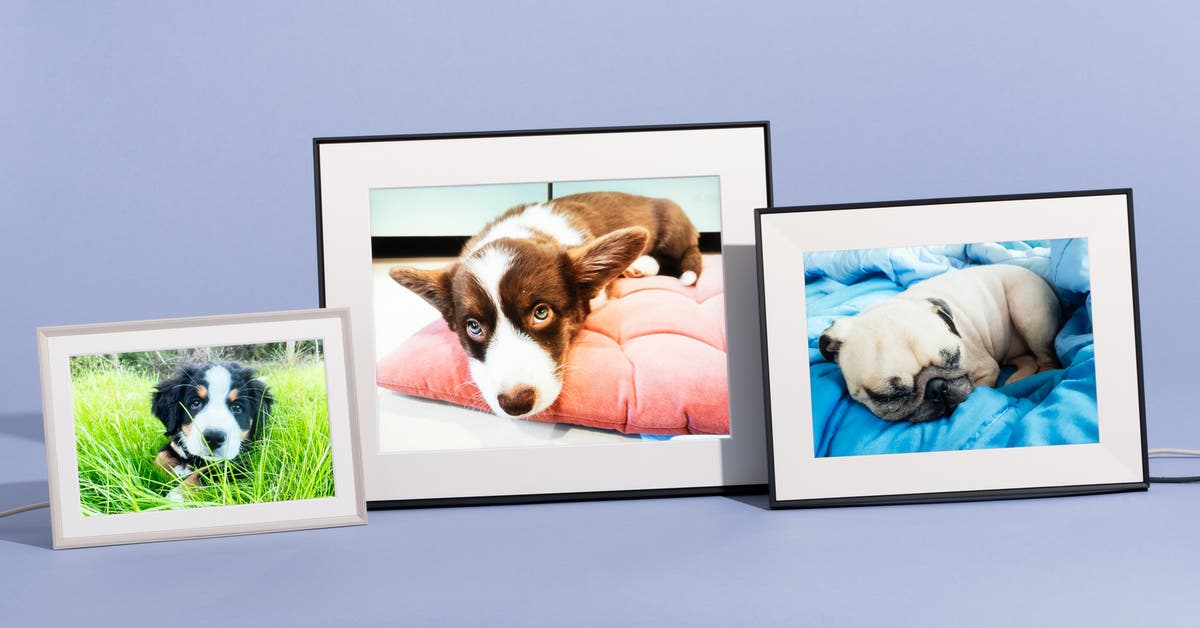 StepThreePR's tweet card. If you want a digital photo frame to show off your favorite images, we think that the Aura Carver is the best choice.