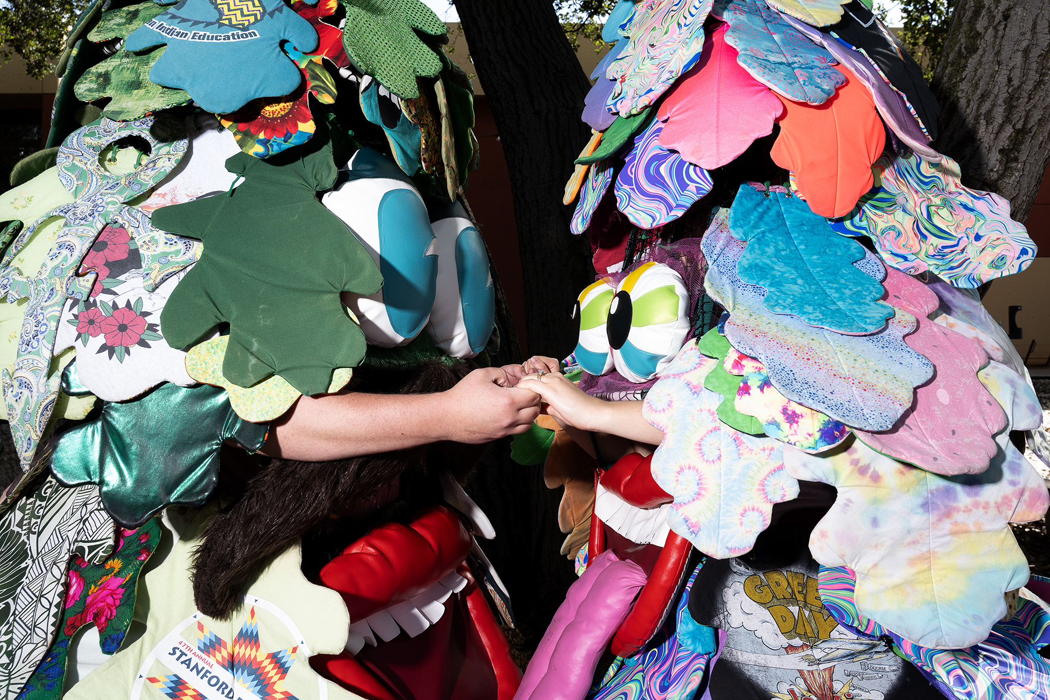 orzelc's tweet card. As the Stanford Tree turns 50, the mascot has never had a love story like this.