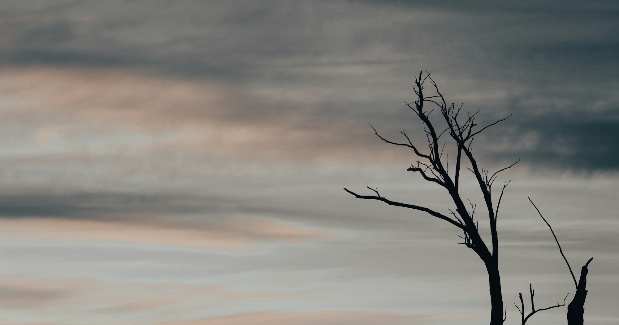 davidcmathis's tweet card. Jesus endured the cross, Hebrews tells us, “for the joy that was set before him.” What joy did Jesus see on the other side of Good Friday’s shame?