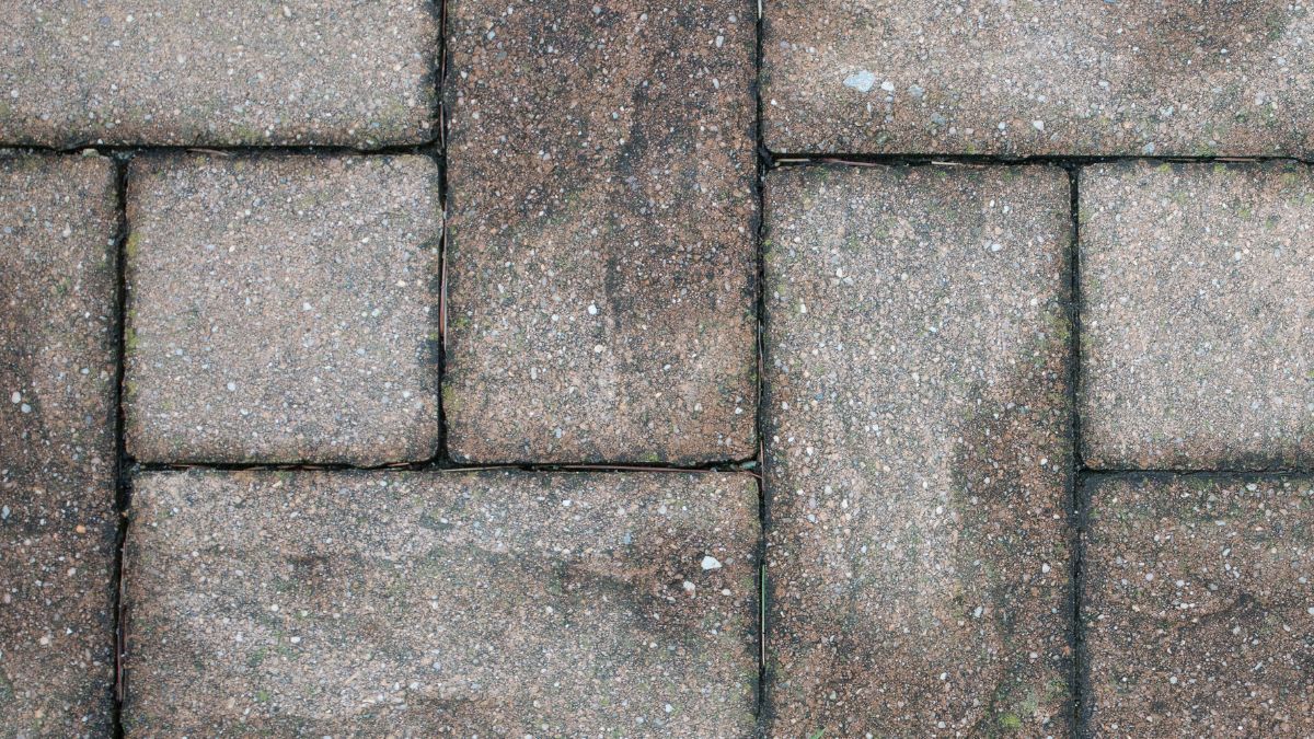 Sechat_Oficial's tweet card. Menos Estado e mais cânhamo. A arquitetura sustentável é a chave para desbloquear a oferta e reduzir o custo da habitação em Portugal