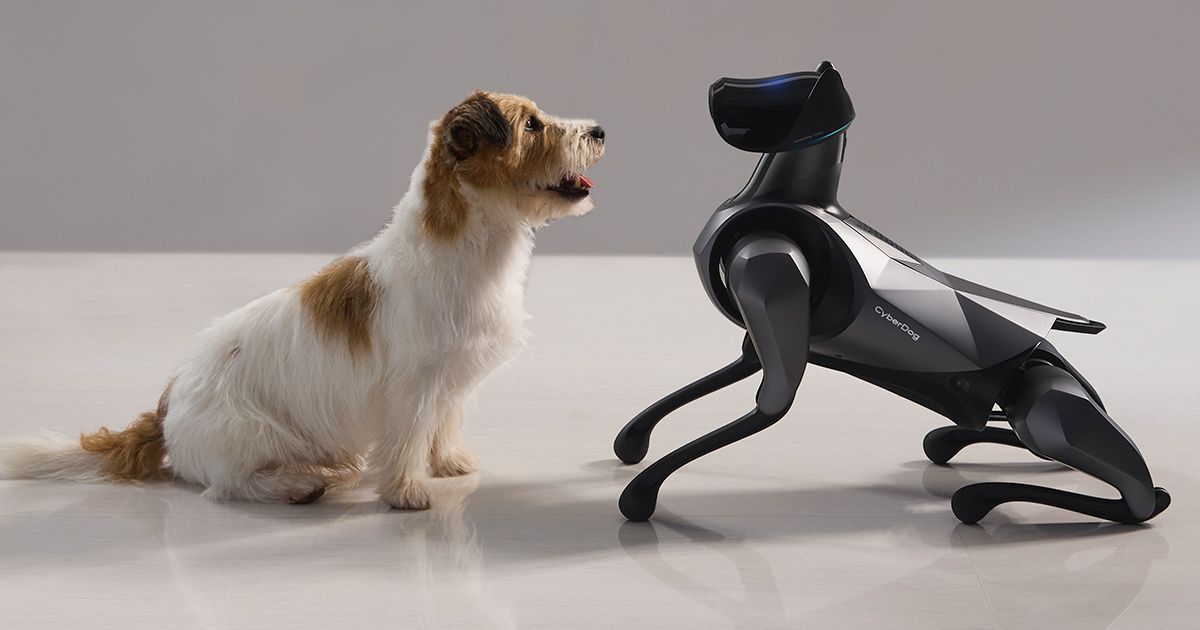 robotsapp's tweet card. CyberDog 2 is a second generation quadruped robot designed as a research platform as well as a robotic pet. It can walk, dance, and change color using a special body skin, and is smaller and smarter...