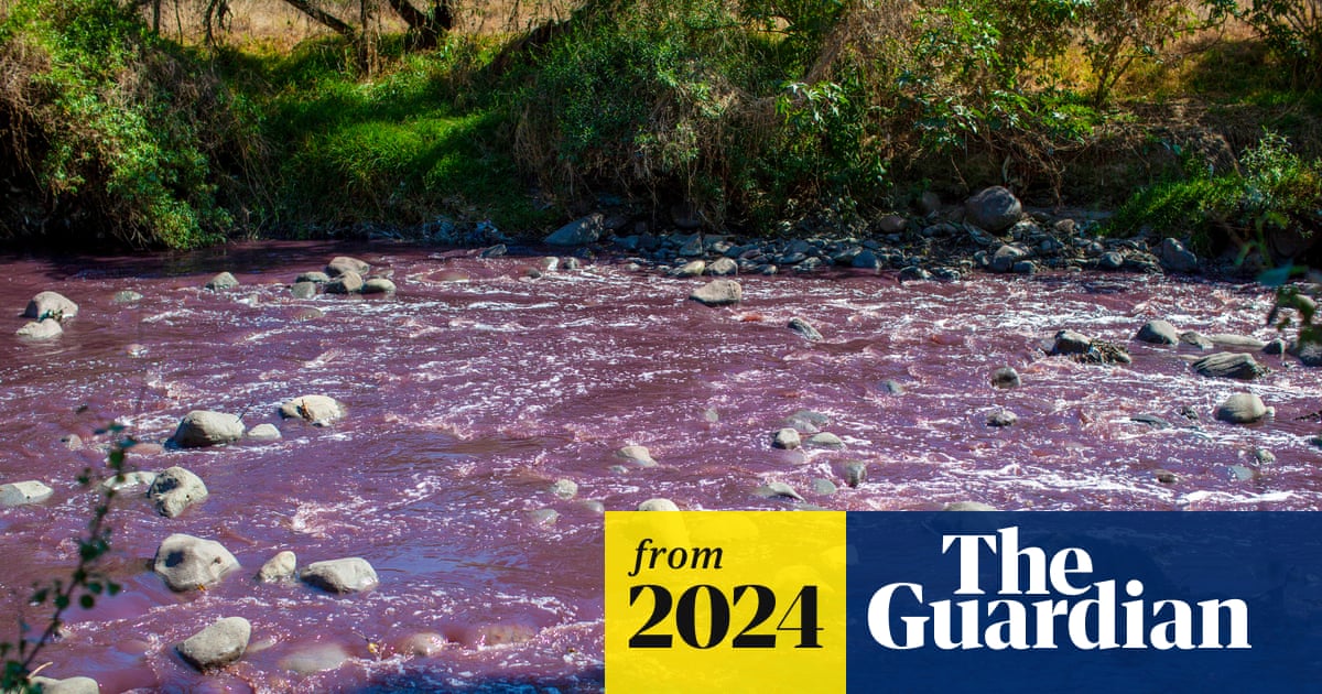 GdnDevelopment's tweet card. Pollution from a cluster of foreign factories is contributing to a threat to public health, allege campaigners, who say the country is prioritising economic growth over the environment