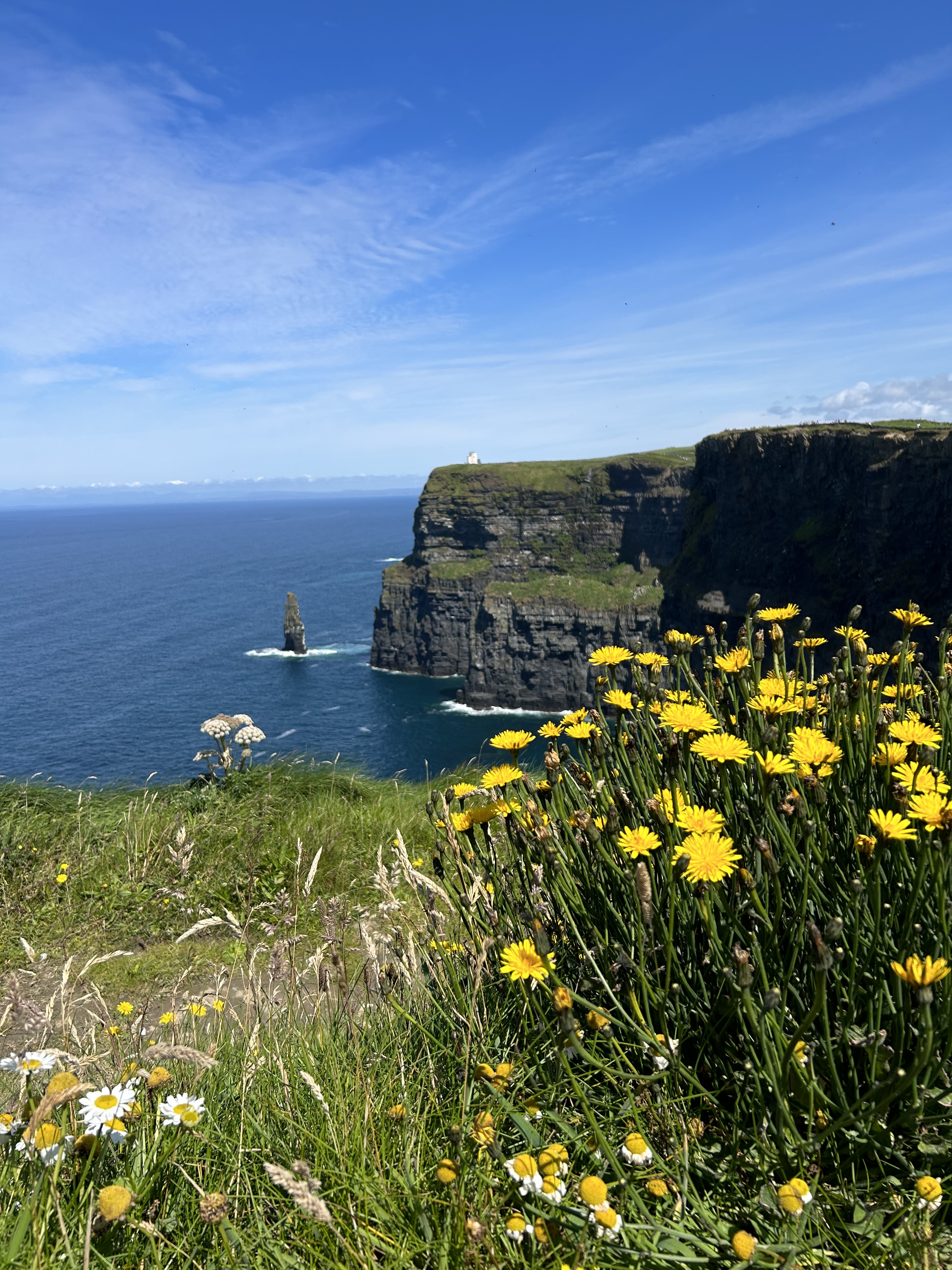 WonderingEng's tweet card. Buy .eire Web3 domain instantly. Explore premium Web3 domains at Freename & build your online presence effortlessly