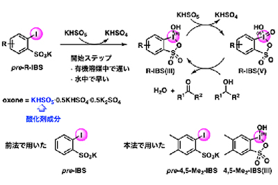 PIodide's tweet card. 名古屋大学の石原一彰教授とウヤヌク・ムハメット准教授らは、温和な条件でアルコールを酸化するヨウ素触媒を開発した。３０度Ｃと常温に近い条件でアルコールをケトンやアルデヒドに変換する。......