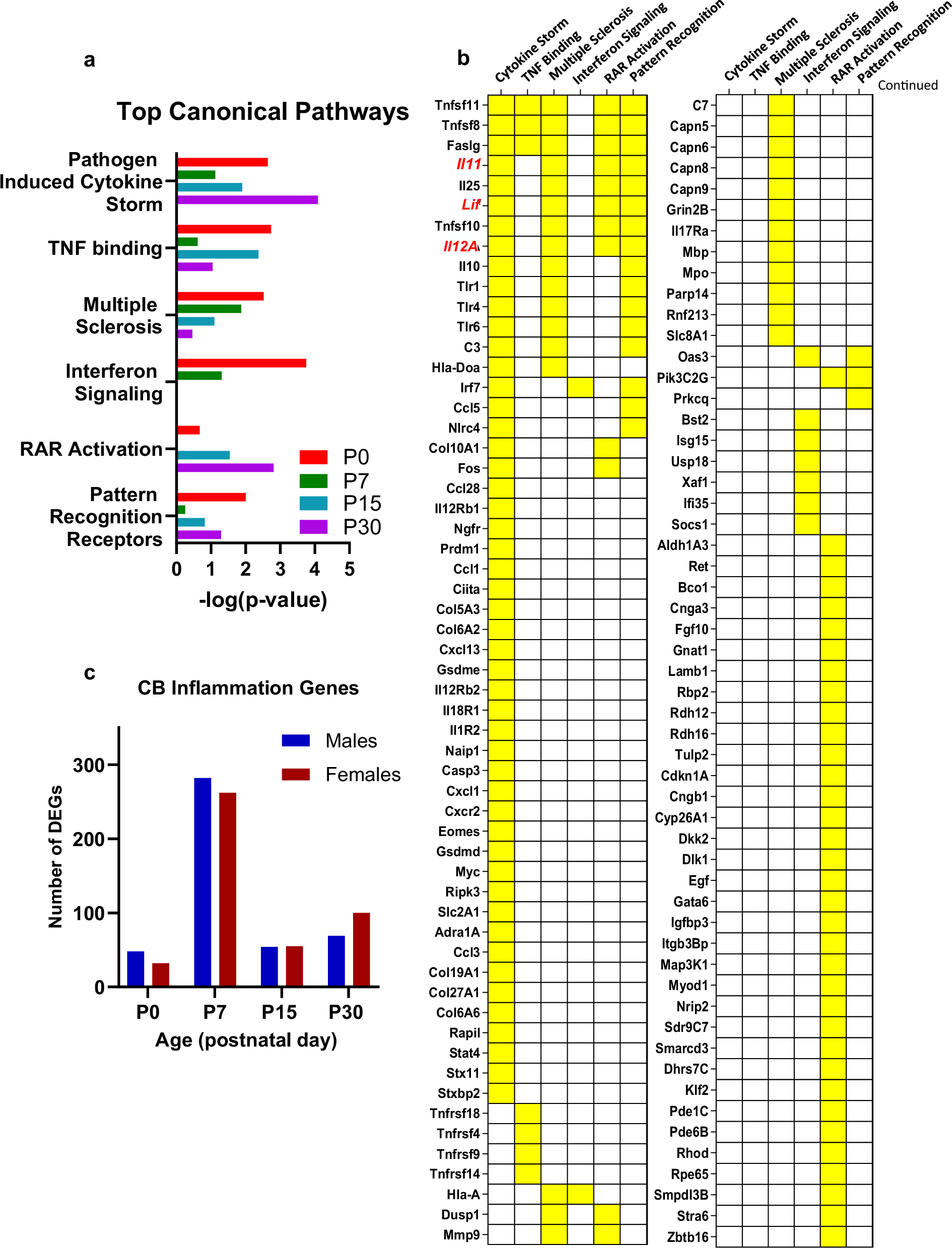 clamavac's tweet card. Nature Communications - Here authors reveal that placental hormone insufficiency can cause sex-linked brain inflammatory responses in mice. Altered microglial and prostaglandin signalling drive...