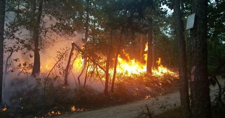 sectionb10's tweet card. TRENTON — The New Jersey Department of Environmental Protection and state forestry service are telling the public that 2022 is the year to be better prepared for wildfires, as they