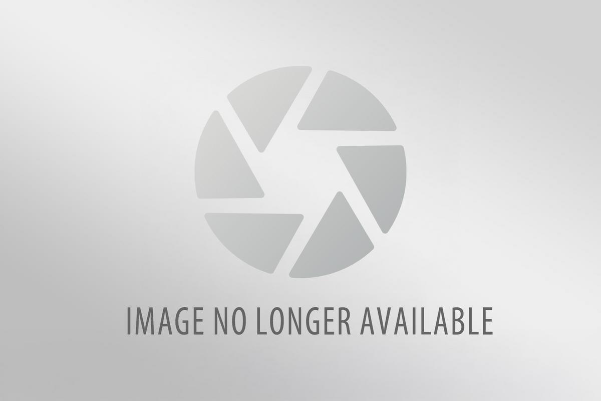 sectionb10's tweet card. Many forest areas are already covered with dry leaves-what New Jersey residents are being asked to do