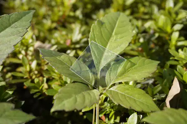 TechFuture_pl's tweet card. Naukowcy z RIKEN Center for Emergent Matter Science w Japonii opracowali nowy rodzaj plastiku, który może zrewolucjonizować walkę z zanieczyszczeniem oceanów. Ten innowacyjny materiał jest nie tylko...