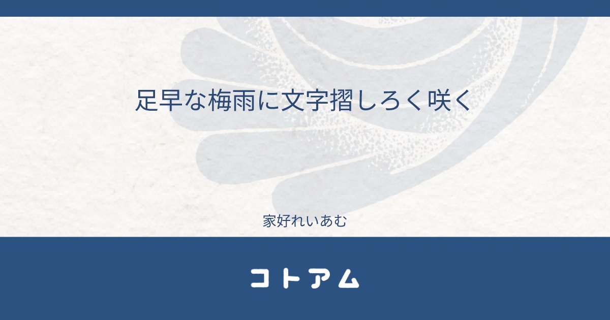 Re14m_bot's tweet card. 足早な梅雨に文字摺しろく咲く