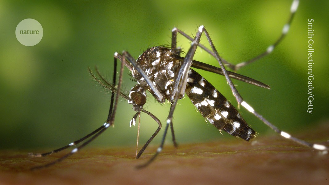Nature's tweet card. Nature - Diseases such as West Nile virus and dengue are becoming increasingly common as the insects that spread them move north.