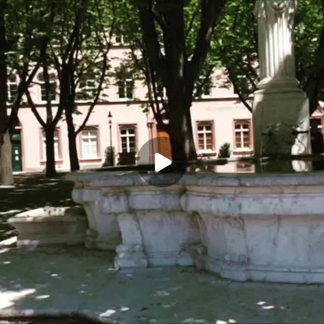 foxtrailschweiz's tweet card. Foxtrail Schweiz (@foxtrail.switzerland) • Instagram video