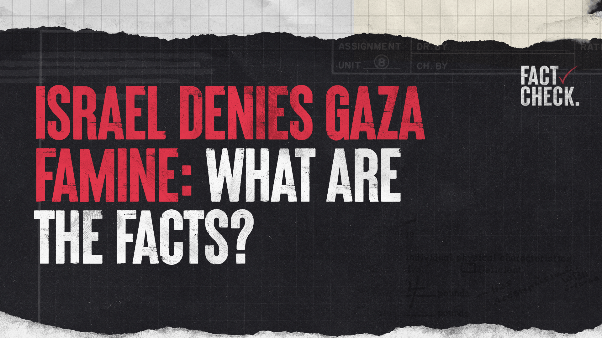 Demeter6's tweet card. Israel’s military and prime minister deny starvation in Gaza, but mounting famine-related deaths contradict this.