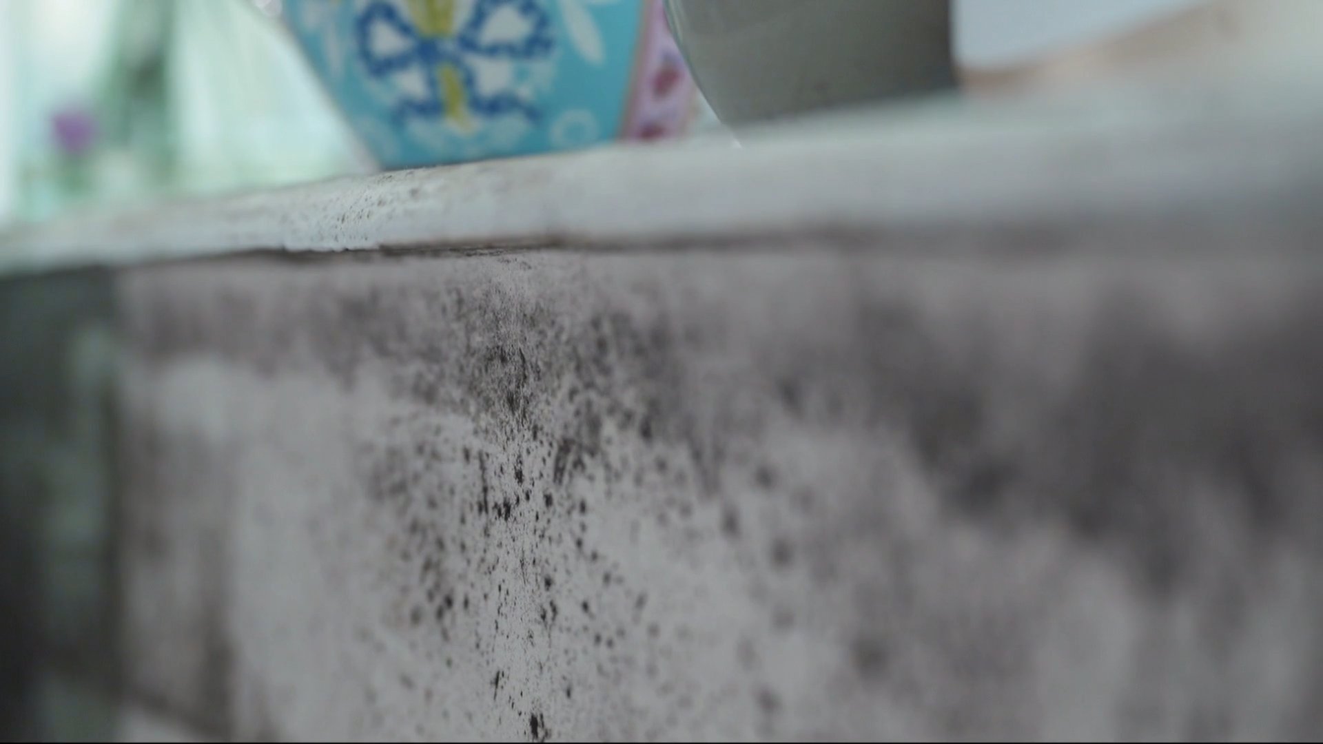 Shelter's tweet card. There are warnings from homeless charities that the mortgage squeeze is further deepening the housing crisis, with Shelter saying the number of people stuck in temporary accommodation is now at...