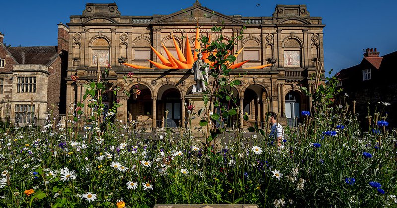 Tweet card summary image