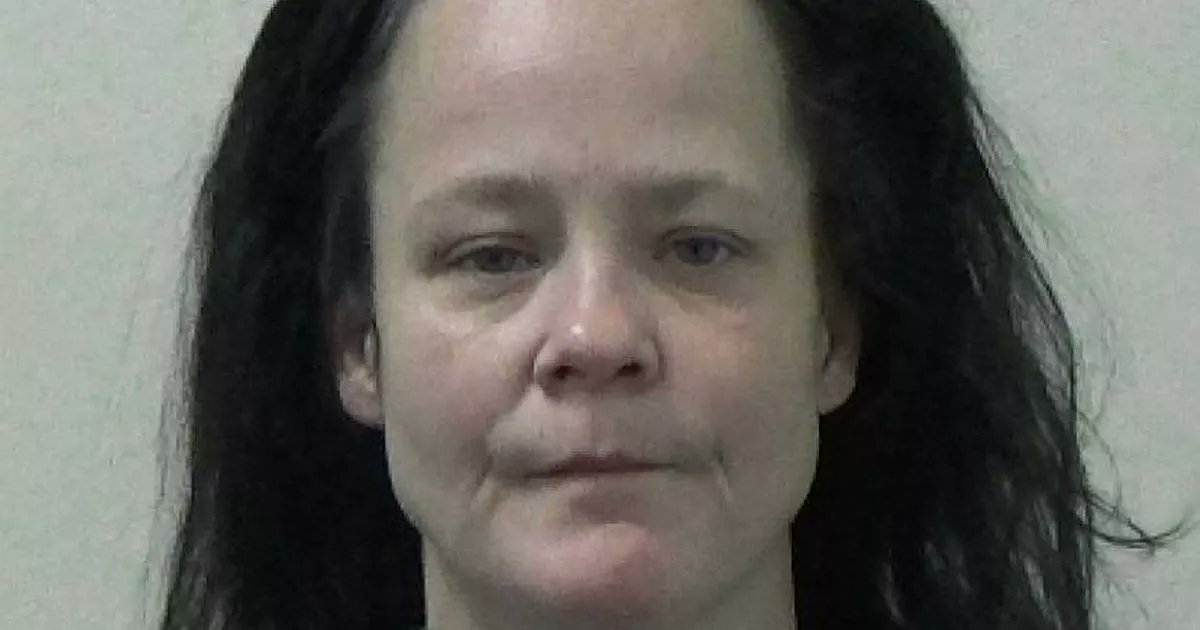 Schoderli's tweet card. Rachel Hardy-Gent was spotted by a delivery driver engaging in the intimate act outside Park View Shopping Centre in Whitley Bay in full view of passers-by. She has now been jailed