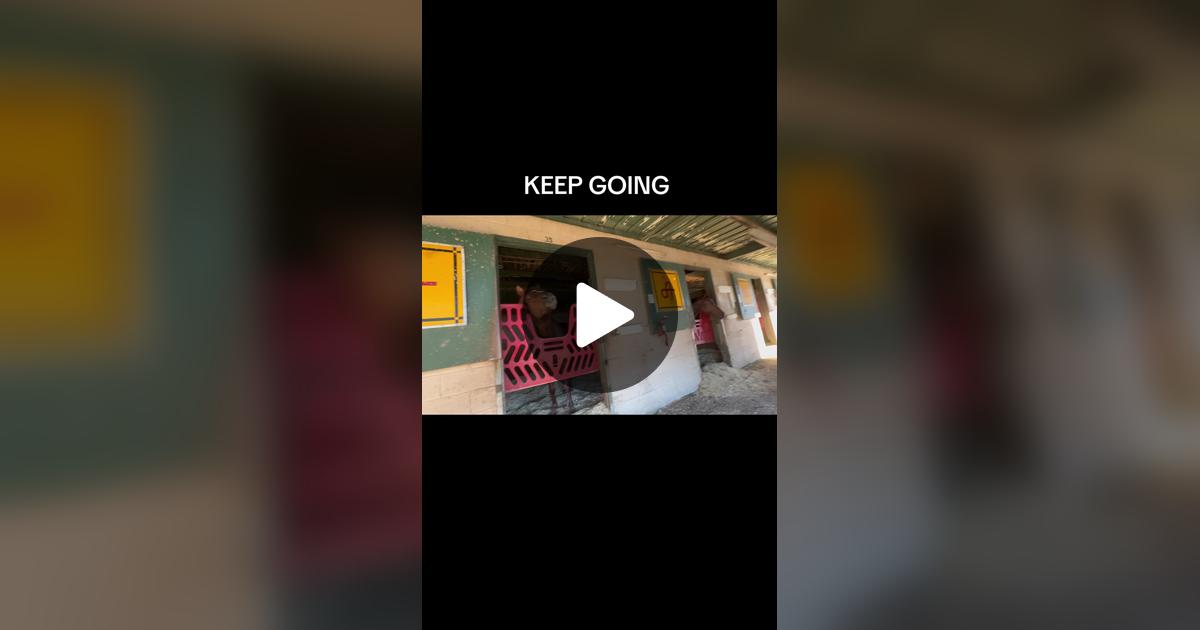 tracie_kling's tweet card. Check out Emotional Support Human4horses’s video.