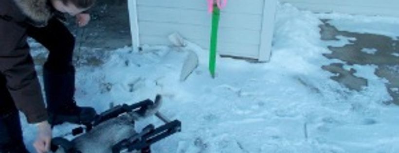 grapeandy's tweet card. Each year MyGivingCircle gives away $500,000