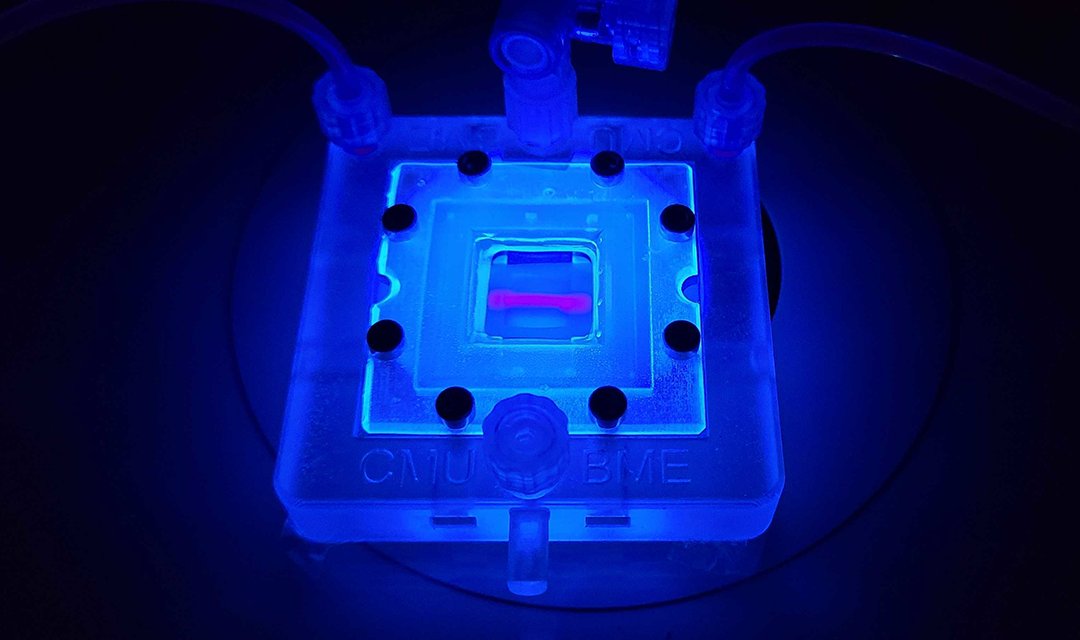 CMUEngineering's tweet card. Using their novel FRESH 3D bioprinting technique, which allows for printing of soft living cells and tissues, the Feinberg lab has built a first-of-its-kind tissue model entirely out of collagen.