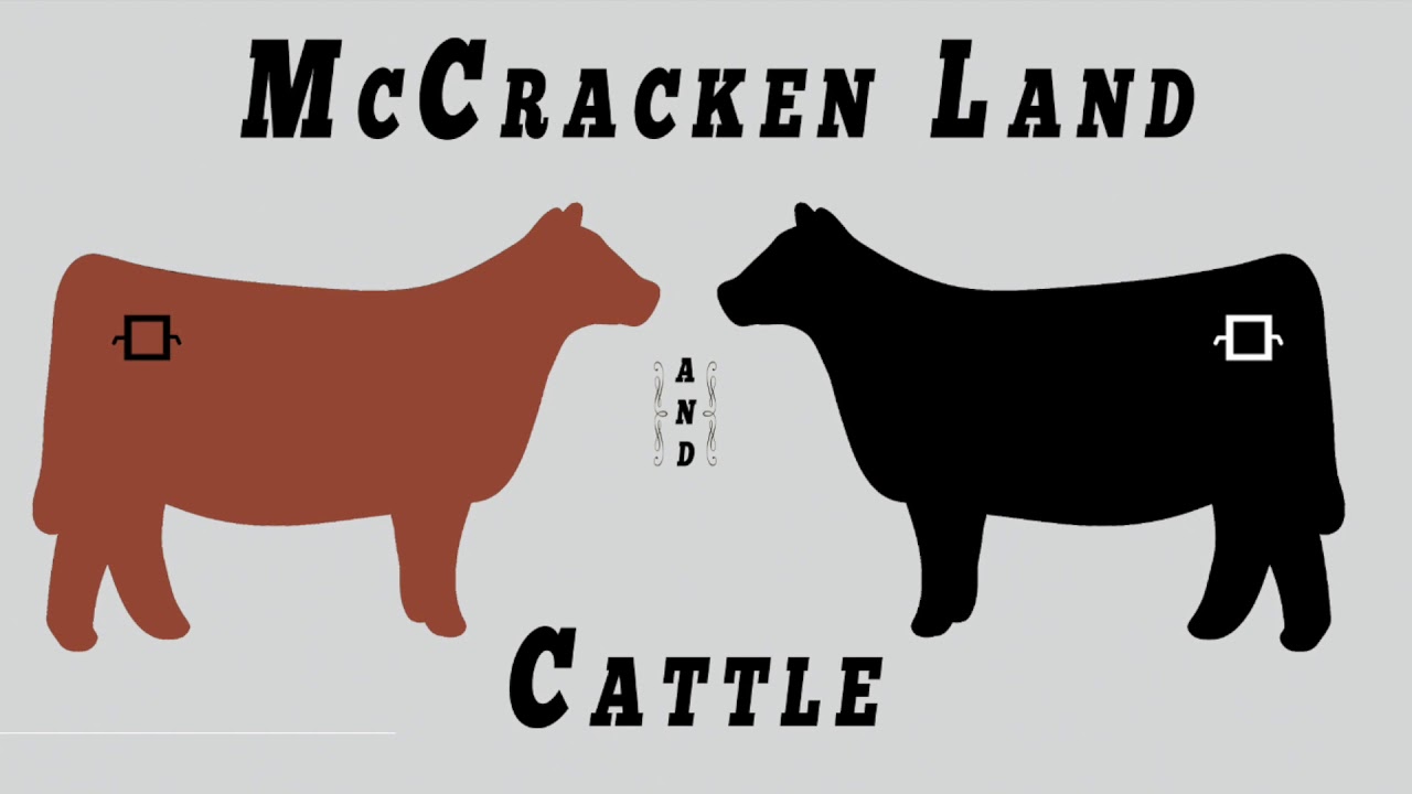 DDClass's tweet card. Cooper Sneary