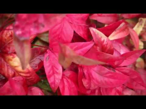 DDClass's tweet card. I ASKED HIGH SCHOOLERS WHAT ARE THINGS THAT MAKE THEM SMILE