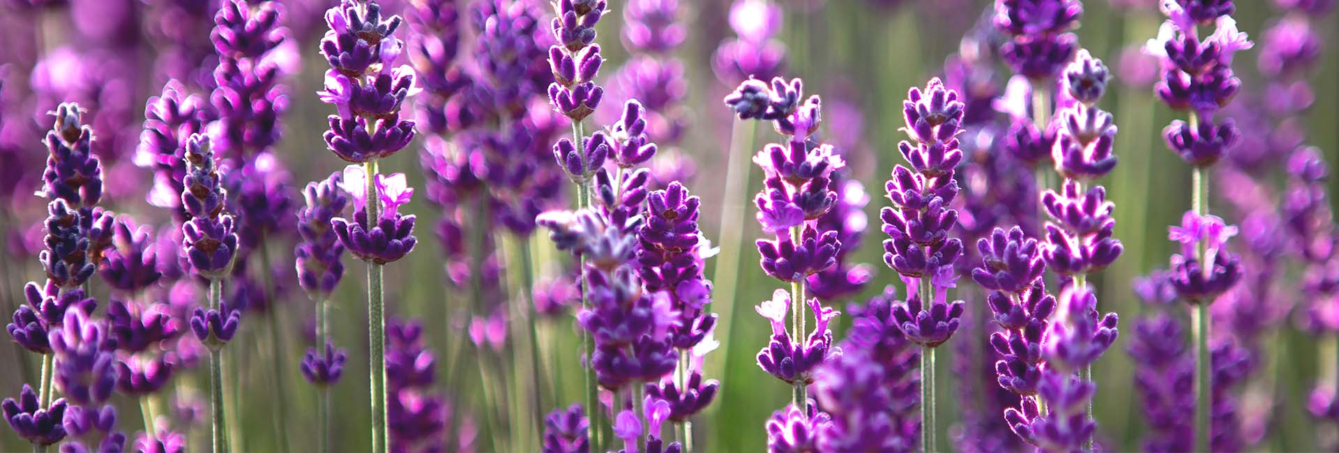 PregnancyLossIE's tweet card. Learn, Study and Research in UCC, Ireland's first 5 star university. Our tradition of independent thinking will prepare you for the world and the workplace in a vibrant, modern, green campus.