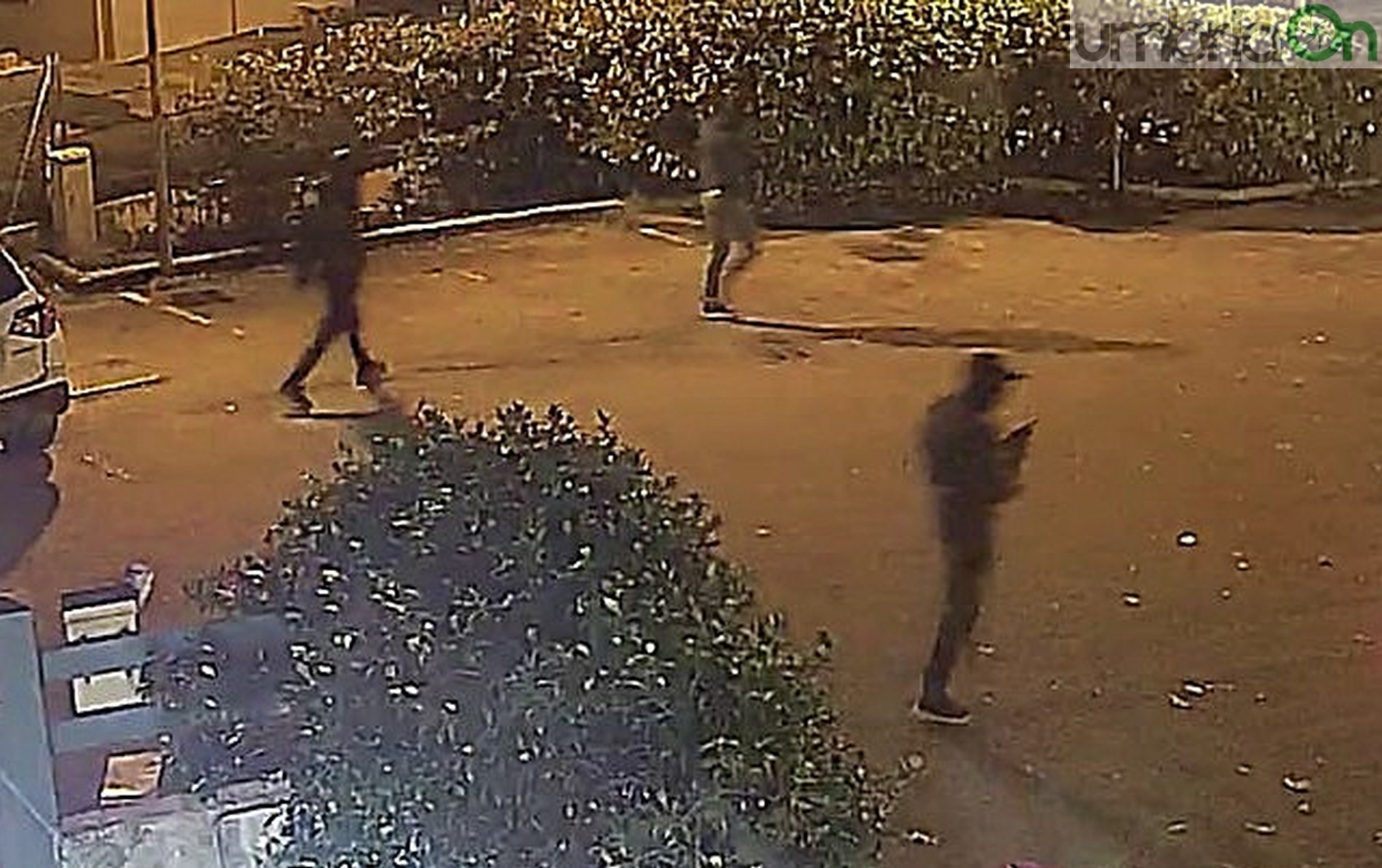 umbriaOn's tweet card. In quattro - tre scendono per rubare e uno fa da palo - in azione da qualche giorno fra Gabelletta, Campitello e borgo Rivo. E non solo